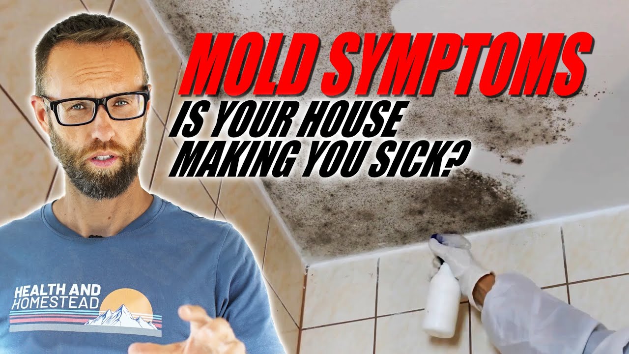 Brain, Body Impacts and 6 REMEDIES TO HEAL