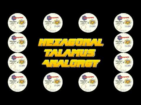 Hexagonal ‎ 10HEXA003 5    Talamus ‎– Analorgy