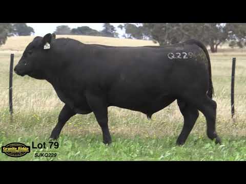 GRANITE RIDGE QUARTERPOUNDER Q229