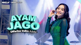 Download lagu AYAM JAGO - Difarina Indra Adella - OM ADELLA mp3 Download lagu AYAM JAGO - Difarina Indra Adella - OM ADELLA mp3