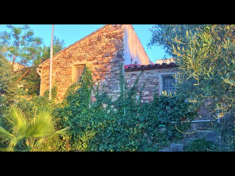 AX1068 - Casa Elefante