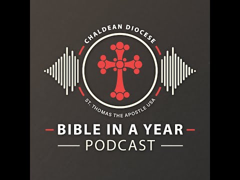 Day 143 - 1 Kings 3, 4:1-28; Psalm 119:1-16; John 8:31-59