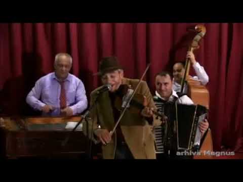 LAUTARI DE CINCI STELE----PLINGE VIOARA..PLINGE VOCEA LIVE