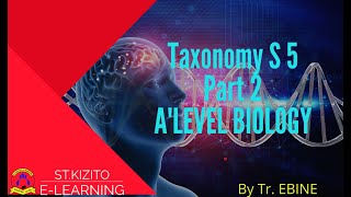 ST KIZITO SS BUGOLOBI 8 Taxonomy S 5 Part 2