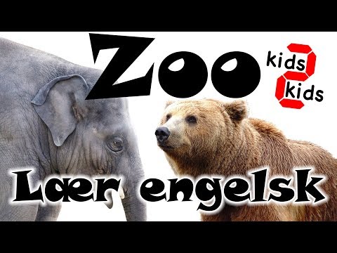 Learn english animal names. Lær dyrenes navne på engelsk i Københavns zoo med kids 2 kids