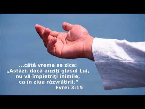 Strangi comori pentru viata ta