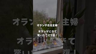 『オランダ驚き５選!!』