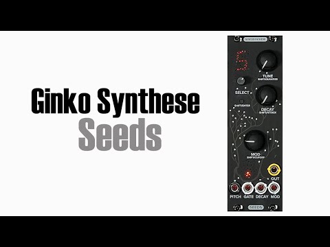 Ginkosynthese Seeds image 2