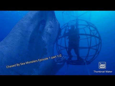 Chased by sea monsters Episode 1 : Dangerous Seas (Part 1)