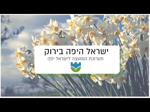 טעימה מתערוכת "ישראל היפה בירוק"