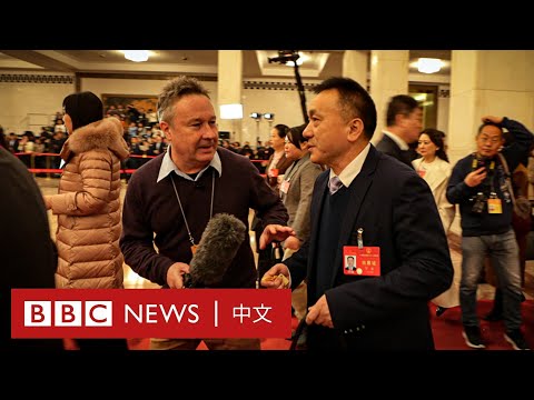 代表人 意思