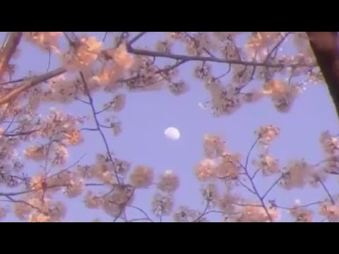 soulthrll - higayon (prod.yungnitro) // Lyrics