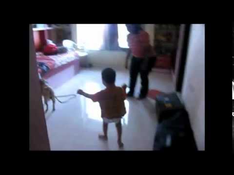 Project ISR - Animal Angels Foundation