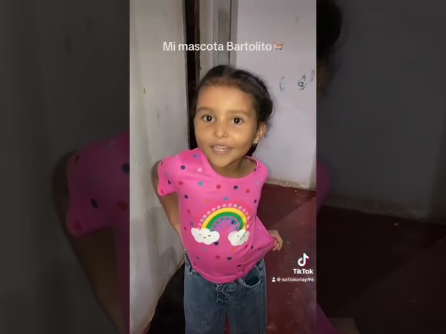 Video 2