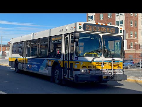 236 Vs. 238 | Yoshi's Ride Series {S8-E05} - Riding the 236 🚌 - {MBTA}