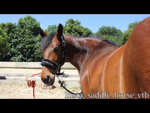 COURS SAUT UNIC[17/06/17]DEROBADES, A 2 DOIGTS DE LA CHUTE