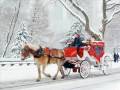 Christmas Carols - Sleigh Ride 