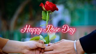 Rose day status | 7 february status | Happy rose day | valentine day week | february status #roseday