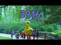 Sesame Street Ep 3916 January 01 2001 NEW PREMIERE