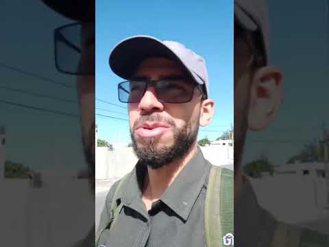 Aula prática sobre folha simples e composta