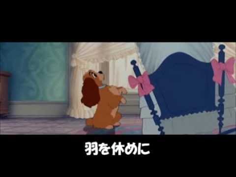 download lagu mp3 mp4 ララルー, download lagu ララルー gratis, unduh video klip Download ララルー Mp3 dan Mp4 Popular Gratis