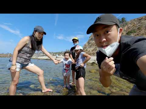 2020-08-15 White Point San Pedro