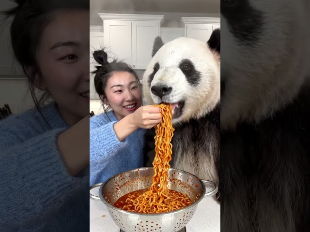Vídeo relacionado con Sweet Anime Panda Eating Ramen. By Ramen Society Camiseta