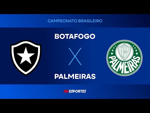 Botafogo 0 x 1 Palmeiras - 17/08/2025 - Brasileirão