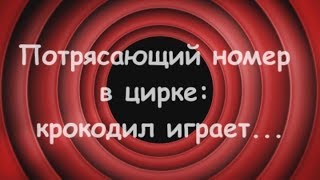 Анекдот - Потрясающий номер в цирке крокодил