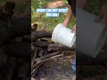 100% the BEST black bear bait mixture! #bearhunting #michigan #hunting