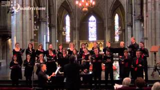 The Sprig Of Thyme (Rutter) - Willow Song @ Vokollage concert 31 mei 2014