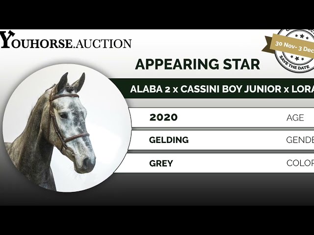 Appearing Star trainingsvideo