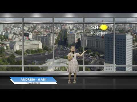 ANDREEA STEFANESCU ne prezintă vremea - Proiect Meteo cu Daniel Nițoiu la Școala TV Dicție.ro