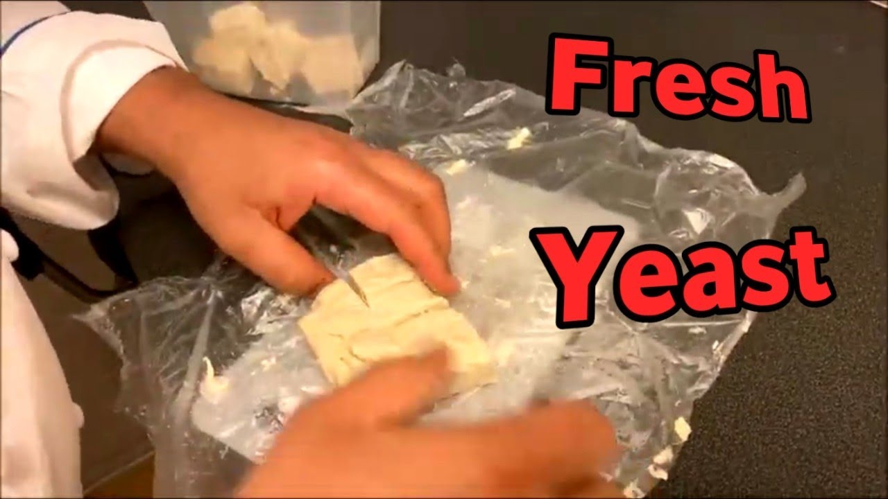 How To Make Fresh Yeast with ingredient only