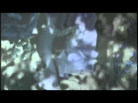 Tiddey feat Lyck - Keep Waiting