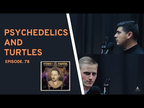 [REACTION] Sturgill Simpson’s - Turtles All The Way Down