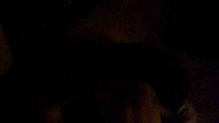 Monty goes crazy over the new bed.