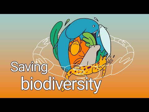 Understanding the sixth mass extinction | LSE Festival Shorts 2023