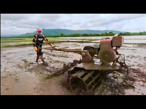 P1- PAGTATANIM NG PALAY