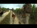 Every Dog Has Its Day - Episode 2 