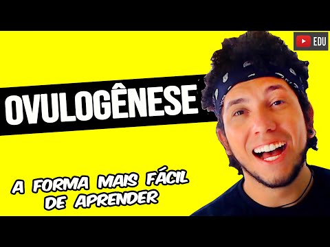 OVULOGÊNESE - EMBRIOLOGIA | Biologia com Patrick Gomes