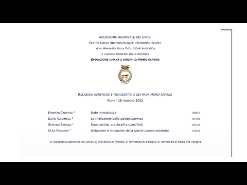 Evoluzione umana e origini di Homo Sapiens - sessione del 18 febbraio 2021