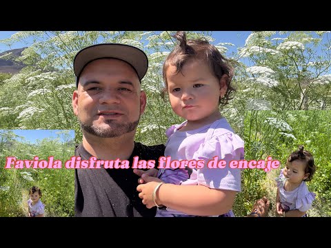 Faviola enjoys the lace wildflowers in San Pedro de la Cueva