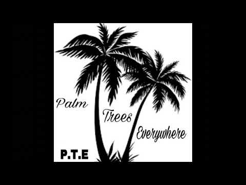 Trap Lo’ - 352 Degrees 🌴