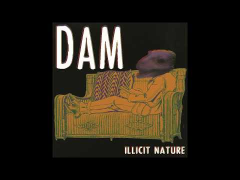 Dam - Illicit nature