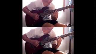 Animals As Leaders - David (7 string cover)