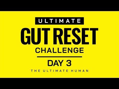Ultimate Gut Reset Challenge with Gary Brecka | The Ultimate Human | Day 3