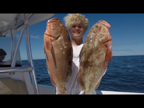 Offshore St Petersburg Red Grouper Catch & Cook **BONUS Underwater Footage**