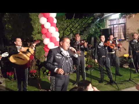 download lagu mp3 mp4 Mariachis Tlalpan, download mp3 Mariachis Tlalpan free download mp3, download mp3 Mariachis Tlalpan