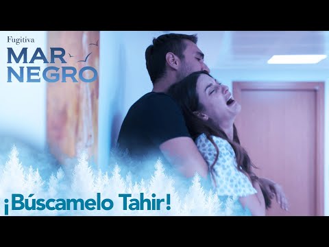Tahir cuante a Nefes que Yigit desapareció - Mar Negro Capítulo 88 | Fugitiva